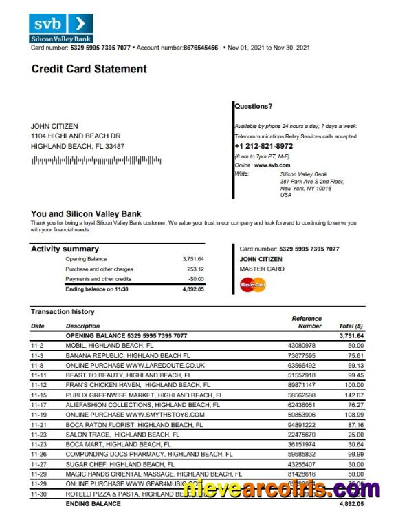 USA Florida Silicon Valley bank credit card statement in Excel and PDF format